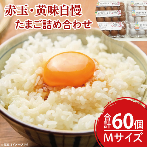 [数量限定]赤玉・黄味自慢 たまご詰め合わせ60個(LB-2)