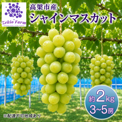 シャインマスカット ぜきお農園 岡山県産 シャインマスカット【2kg 3〜5房】【先行予約】