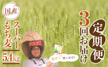 豊橋産スーパーもち麦 定期便 3回(1.8kg×3)
