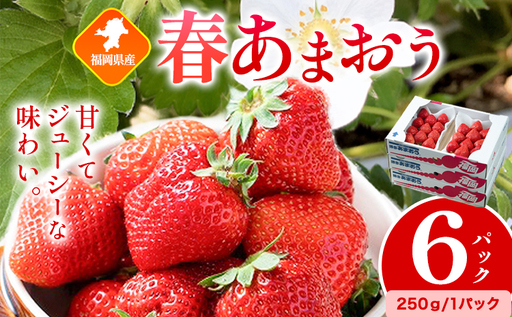 福岡県産 春あまおう 6パック 南国フルーツ株式会社《2月上旬-3月末頃出荷》福岡県 小竹町 あまおう いちご イチゴ 送料無料【配送不可地域あり】