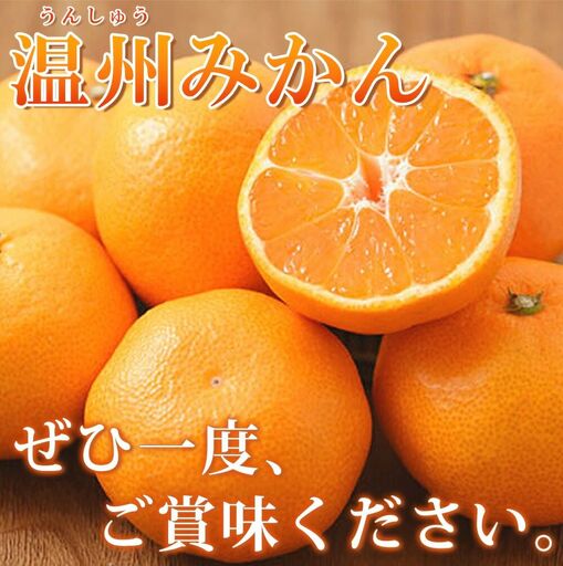 みかん 訳あり ご家庭用 紀州有田産 濃厚完熟 温州みかん 2kg  ※2026年11月下旬～2027年1月下旬頃に順次発送予定 【uot836】