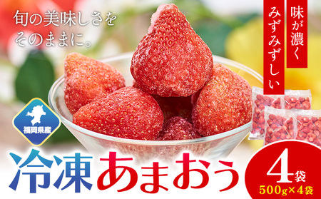 【2026年度出荷予定】福岡県産 冷凍あまおう2kg(500g×4袋) 南国フルーツ株式会社《12月中旬-3月末頃出荷》【配送不可地域あり】