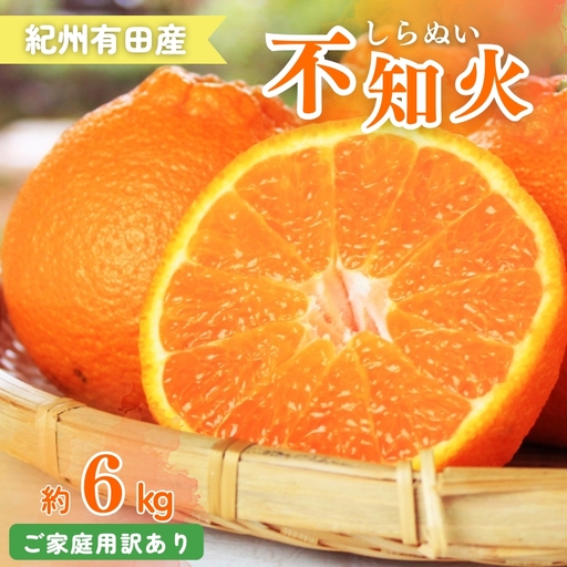 【ご家庭用訳あり】紀州有田産不知火(しらぬひ) 約6kg 【予約】※2027年2月中旬頃〜3月中旬頃に順次発送予定(お届け日指定不可)【uot831A】