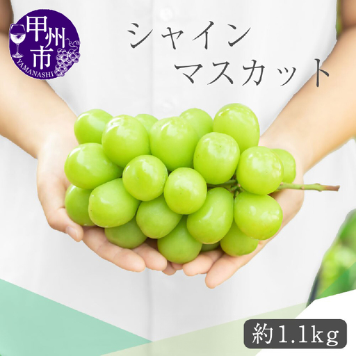 甲州市産 シャインマスカット 約1.1kg 2～3房【2026年発送】（VYD）A09-885 シャインマスカット フルーツ