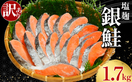 訳あり 銀鮭 塩麹漬け 1.7kg 鮭