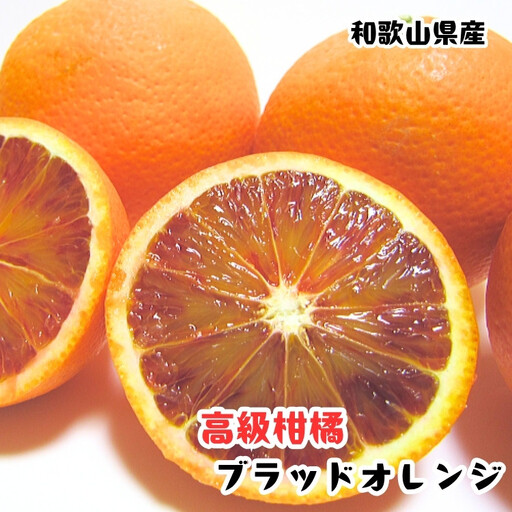 ［高級柑橘］和歌山県産ブラッドオレンジ タロッコ 約2kg［MS93］