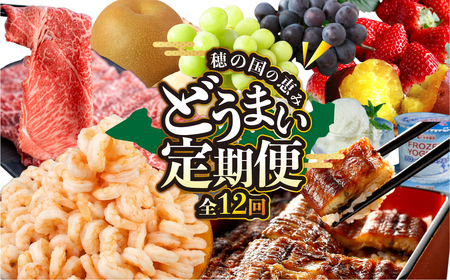 豊橋 どうまい 定期便 全12回 いちご / トマト / えび / 鴨肉 / ミニトマト / アイス  / シャインマスカット / 梨 / 焼き芋 / 柿 / 牛肉  高評価 お楽しみ ぶどう フルーツ 鰻 苺 むきえび 冷凍 訳あり 1年 12回定期便 フルーツ定期便 うなぎ定期便 海鮮定期便 人気の定期便