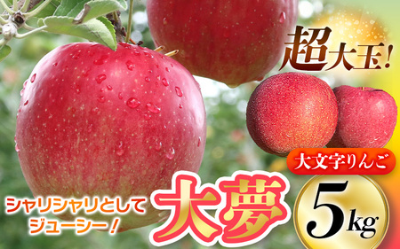 [11月中旬頃より順次発送][大玉!]大文字りんご 大夢(おおゆめ)約5kg (10〜12玉) [2026年11月15日までの受付][dma004-big]
