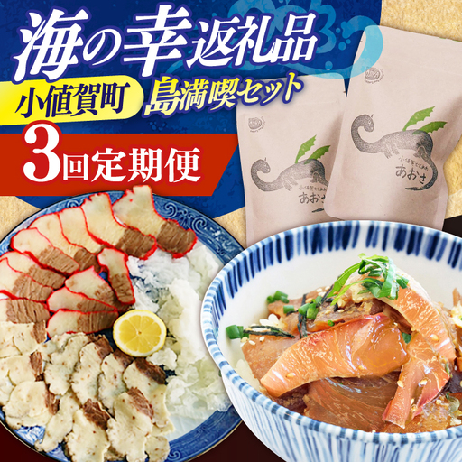 3回定期便 海の幸定期便 5万円 [DYZ021] 海鮮丼
