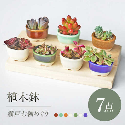 【瀬戸焼】 植木鉢 瀬戸七釉めぐり 7点 / 瀬戸市 / 【文山製陶所】 / 植木鉢 陶器 プランター 植物 鉢 [BBCG003]