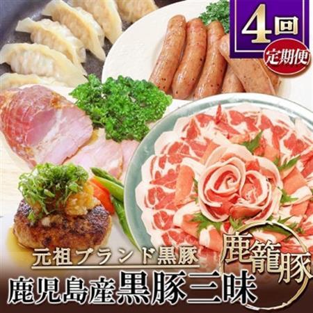 【発送月固定定期便】鹿児島県産黒豚三昧 EE0-0005 全4回_肉 しゃぶしゃぶ 牛肉 牛しゃぶ  肉  牛肉   肉 しゃぶしゃぶ 豚肉 豚しゃぶ  肉 ハンバーグ 豚肉   肉 ソーセージ・ウインナー 豚肉   肉  豚肉   惣菜・加工品 餃子  ぎょうざ ギョウザ  定期便 定期便  _【配送不可地域：離島】【4060214】
