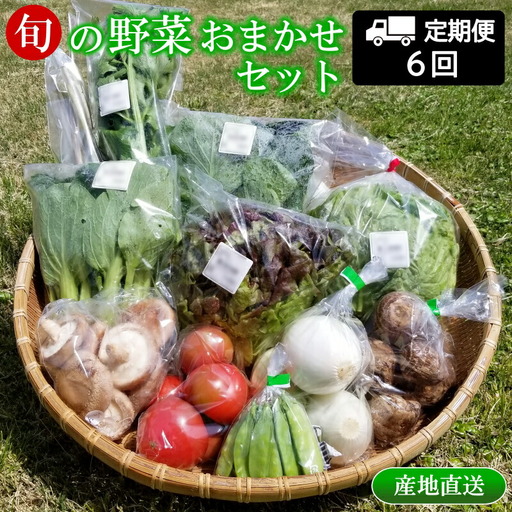 『定期便』全6回 野菜 おまかせセット 毎月届く定期便 旬 道の駅直送 季節野菜 豊平どんぐり村 さんさん市_SA073_001s6