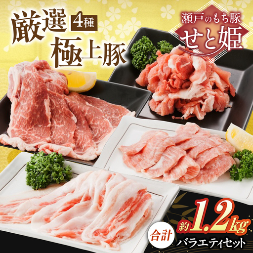 豚肉バラエティセット約1,200g [BAER012] 豚肉