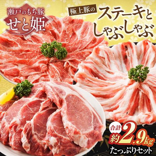豚肉たっぷりセット約2.9kg [BAER024] 豚肉