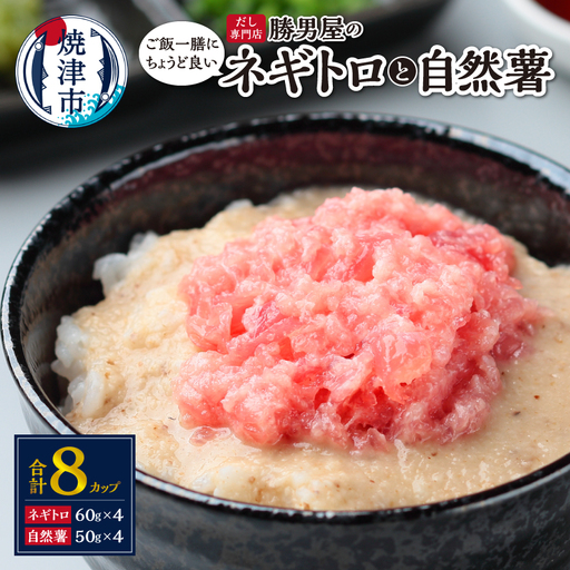 だし専門店「勝男屋」の一膳とろトロ 自然薯・ネギトロセット (a12-224)
