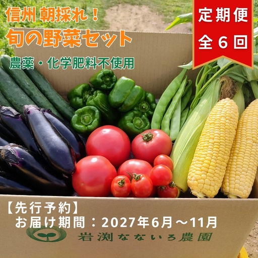 【2027年6月上旬～11月下旬迄発送・定期便6回】信州 朝採れ 旬の高原野菜セット おまかせ7種 (北海道・沖縄県・離島は配送不可) 長野県 佐久市 栽培期間中農薬不使用 産地直送 季節 旬彩 先行予約 農家 農園