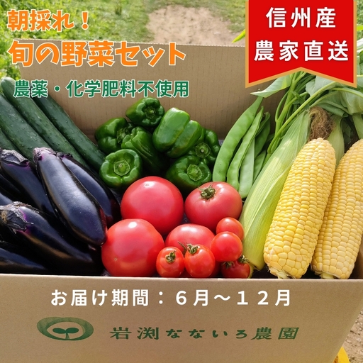 【産地直送・新鮮】朝採れおまかせ旬の高原野菜 7種セット (出荷時期 : 2026年6月～12月／北海道・沖縄県・離島は配送不可) 　|  信州 栽培期間中 無農薬  産直 季節 旬  岩渕なないろ農園 旬彩