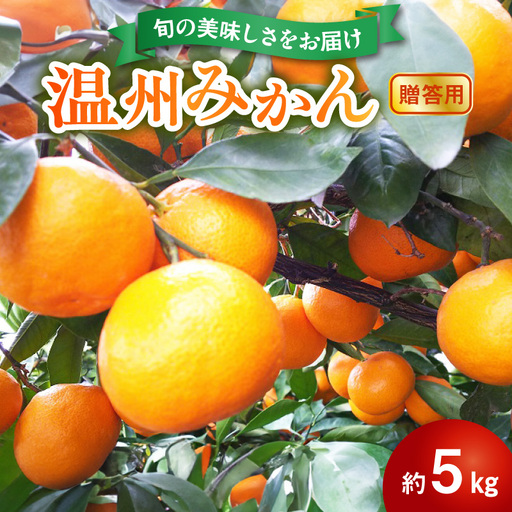 進栄【贈答用】温州みかん約5kg_U68-0131