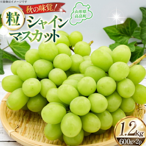 【期間限定発送】 シャインマスカット 約600g 2パック 約1.2kg