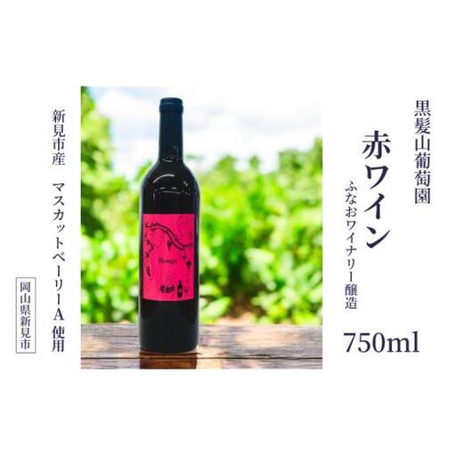 黒髪山葡萄園 赤ワイン 750ml ふなおワイナリー醸造 1本
