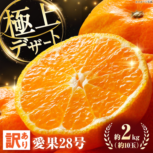 みかん 訳あり愛果28号 約2kg 約10玉 フルーツ 果物 みかん 訳あり BJBL001