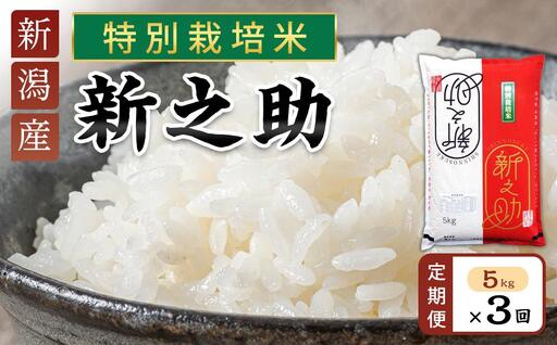【定期便】新之助（特別栽培米）5kg×3ヶ月連続お届け | 米　お米　新潟　新潟県