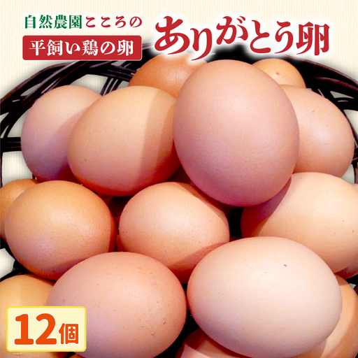 自然農園「こころ」の平飼い『ありがとう卵』 12個（6個×2パック）_kn089-003