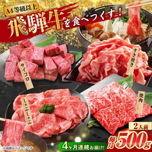 【4回定期便】 飛騨牛 プレミアム 定期便 2人前 ( しゃぶしゃぶ × すき焼き × サイコロステーキ × 焼肉 ) 各500g[TAZ046]牛