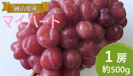ぶどう 【2026年 早期受付】 マイハート 1房 約500g ブドウ 葡萄 岡山県産 国産 フルーツ 果物 ギフト