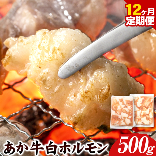 あか牛 白ホルモン 6kg 12ヶ月定期便 五右衛門フーズ 《お申込み月の翌月から出荷開始》 熊本県 球磨郡 山江村 牛肉 肉 国産 熊本県産 ブランド牛 絶品 贅沢 高級 あか牛 ホルモン もつ モツ もつ鍋