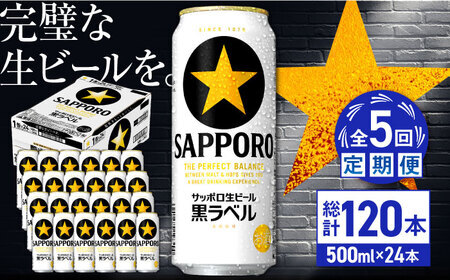 【全5回定期便】サッポロ生ビール 黒ラベル 500ml×24缶  合計120缶  /ビール お酒  黒ラベル 大分 日田 サッポロビール/[ARDC079]