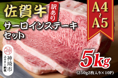訳あり!佐賀牛サーロインステーキセット5kg(250g 2枚入×10)(H112130)