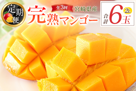 【定期便 完熟マンゴー】2027年出荷 2L×2玉 全3回 果物 フルーツ E219-27