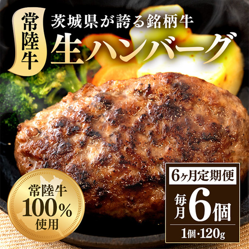 生ハンバーグ120g×6個 常陸牛 100％ 【6ヶ月連続お届け】 514