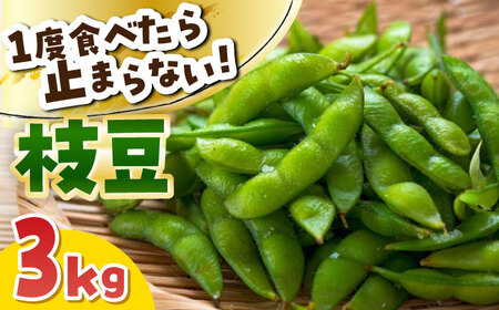 [毎年7月から順次発送]枝豆 3kg 野菜 枝豆 おつまみ[AECM004]