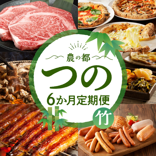 ≪6か月お楽しみ定期便≫都農町定期便(竹) 肉 加工品 鰻 国産_T999-0066