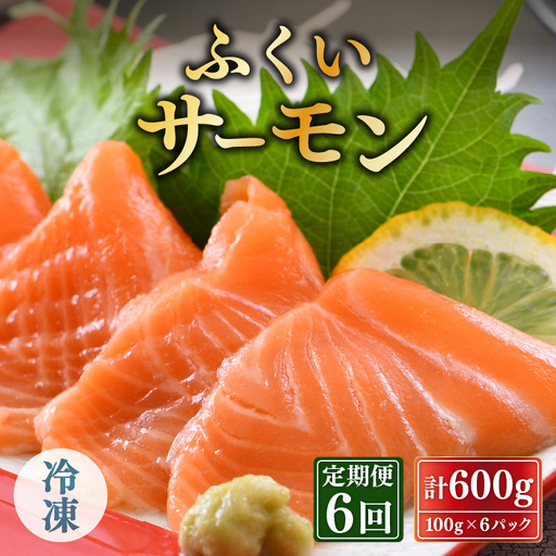 【6ヶ月連続お届け】ふくいサーモン 600g (刺身用) 真空冷凍 100g×6パック×6回【サーモン 鮭 刺身 サケ 小分け 生食 国産】 [K-6201]