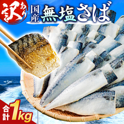 訳あり 無塩 サバ フィレ1.0kg(10枚前後) さば 鯖 切り身 宮城県 石巻市