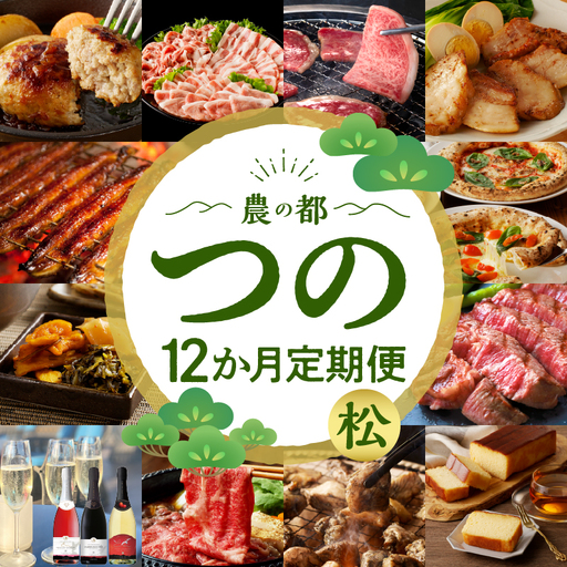≪12か月お楽しみ定期便≫都農町定期便(松) 肉 加工品 デザート 国産_T999-0106