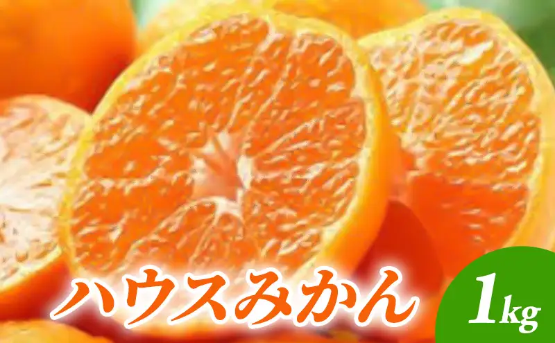 �ԗ�i�摜