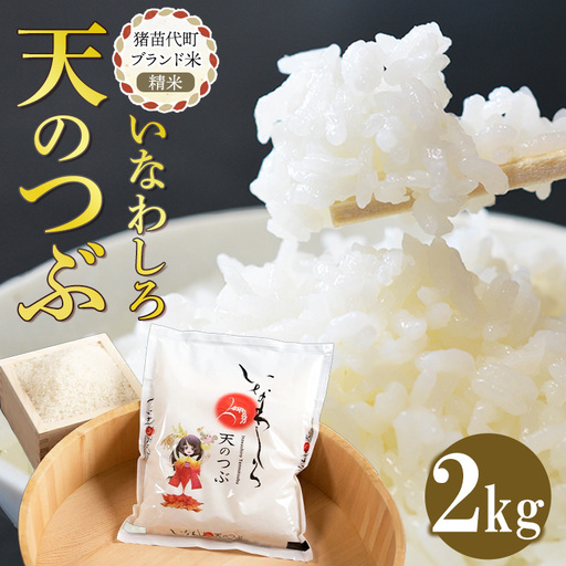 令和7年産 猪苗代町ブランド米 いなわしろ天のつぶ( 精米 ) 2kg ｜ お米 白米 福島 大粒 寿司 和食