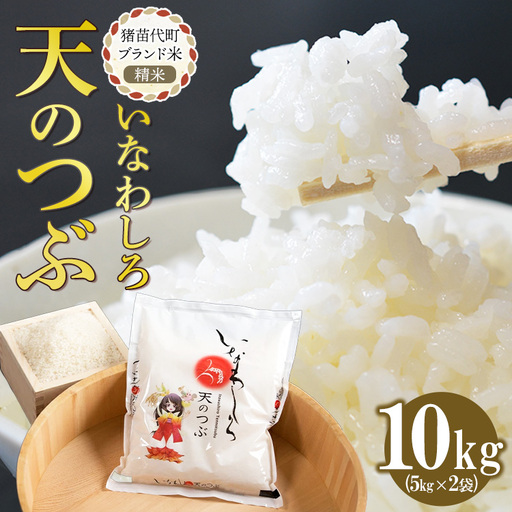 令和7年産 猪苗代町ブランド米 いなわしろ天のつぶ( 精米 ) 10kg ｜ お米 白米 福島 大粒 寿司 和食