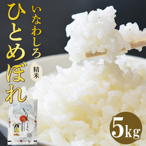 令和7年産 いなわしろひとめぼれ( 精米 ) 5kg ｜ お米 白米 福島 やわらかい 和食
