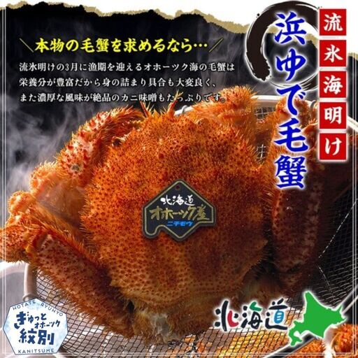 20-269 【甲羅組】北海道産　ボイル毛蟹