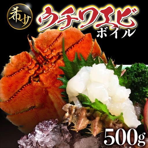 ＜数量限定＞ウチワエビ（ボイル）7匹前後 500gセット【S246】