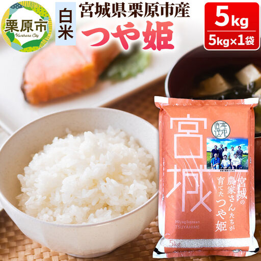 [白米]令和7年産 つや姫 5kg 宮城県栗原市産