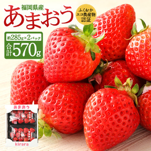 あまおう 約570g 約285g×2パック いちごファームきらら【ふくおかエコ農産物認証】【2027年2月上旬-3月下旬発送予定】