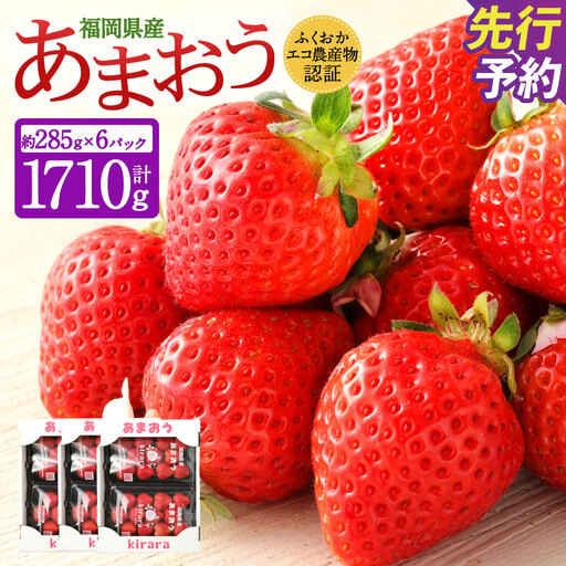 あまおう約1710g 約285g×6パック いちごファームきらら【ふくおかエコ農産物認証】【2027年2月上旬-3月下旬発送予定】