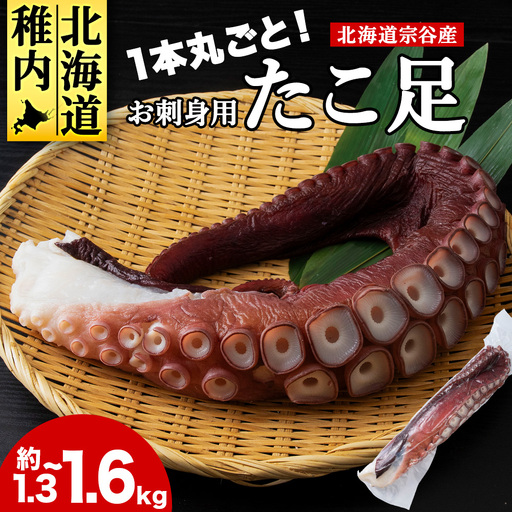 北海道稚内産 お刺身ボイルたこ足1本 約1.3kg～1.6kg【配送不可地域：離島・沖縄県】