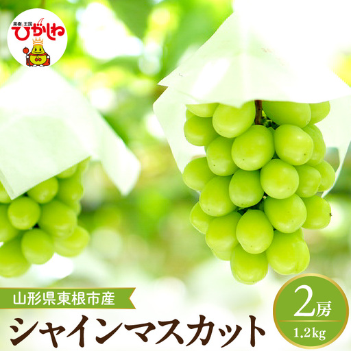 【2026年産】シャインマスカット約1.2kg (2房入) ぶどう